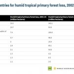 국가별 열대 원시림 손실. 2025.7