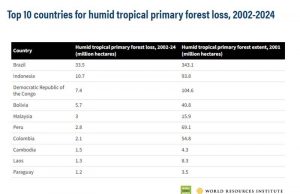 인도네시아 열대 원시림 손실 세계 2위 생태계 붕괴 경고