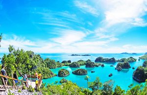 파푸아 라자 암팟 니켈 광산 개발, 해양 생물 다양성 위협 심화 우려