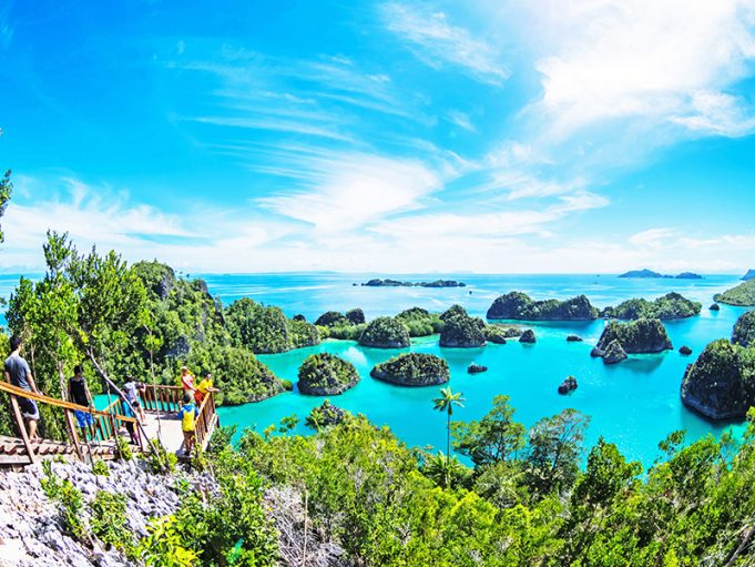 파푸아 라자 암팟 니켈 광산 개발, 해양 생물 다양성 위협 심화 우려