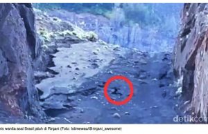 린자니산 등산객 외국인 사망… 국제 법적 분쟁으로 비화하나