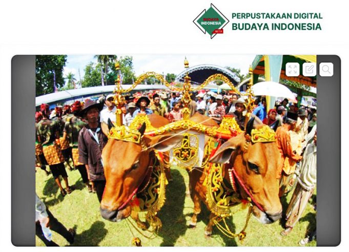 프라보워 대통령, 2025년 희생제에 985마리 소 기부…전국 분배