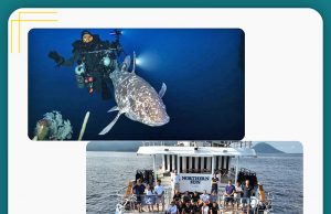 말루쿠 북부 심해에서 살아있는 고대어 실러캔스 발견