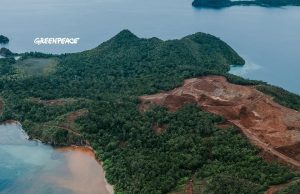 파푸아서 니켈 채굴로 산호 위협…원주민 반발에 허가 취소