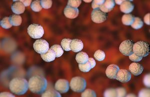 치사율 14% ‘A군 연쇄상구균’ 공포 엄습…독성변이 한국 출현 ‘무방비’ 상태