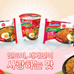 한국 인도미 홈페이지 캡춰