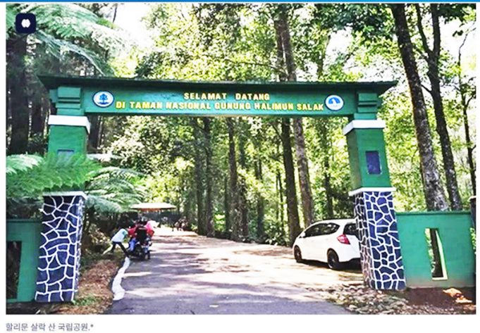 보고르 군수, 할리문 살락 공원 개발 우선순위 선정