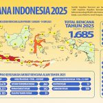 2025년 1월부터 6월까지 발생한 재해 현황