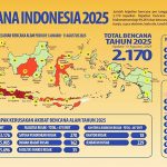 2025년 1월 1일부터 8월 13일까지의 자연재해 사건 분포에 대한 인포그래픽