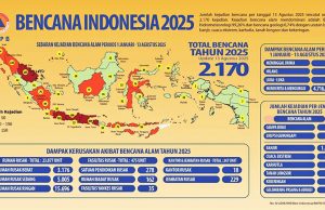 2025년 8월까지 자연재해 그래픽