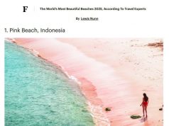 2025년 LifeStyle 10대 뉴스