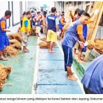 서부 자와주 치아미스 교도소 재소자들이 코코넛 섬유 그물(coir net)을 만들고 있다.