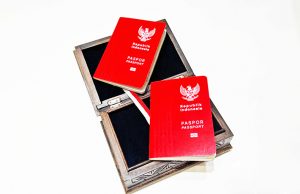 이민총국, 적백 디자인 여권 발행 연기… “전략적 서비스 개선에 집중”