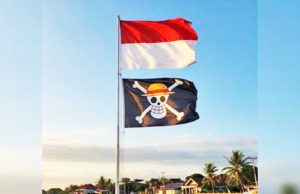 ‘원피스’ 日 해적기 게양, 표현의 자유 “국기와 대립은 안 돼”