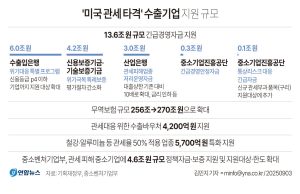 ‘미국 관세 타격’ 수출기업 지원 규모