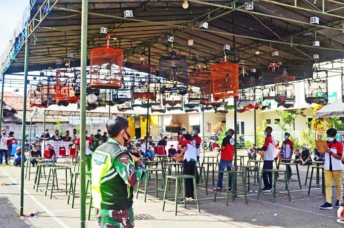 인도네시아의 취미생활, 새 경주에 대하여