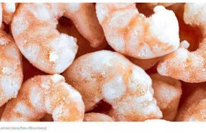 인도네시아 수산식품, 부산 엑스포서 447억 루피아 규모 계약 성과