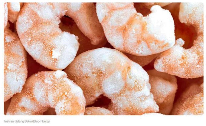 인도네시아 ‘세슘 새우’ 파문에 대미(對美) 수출 ‘이상기류’