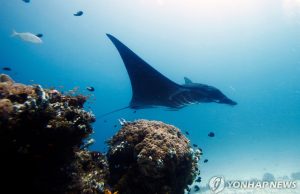 유네스코, 인니 산호섬 라자 암팟 군도 등 ‘생물권 보전’ 26곳 추가