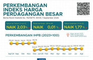 2025년 8월 도매물가, 전년 동월 대비 2.03% 상승… 농산물 가격 상승 주도