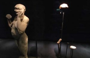 네덜란드가 약탈한 자와인 화석 130년만에 고향땅 자와로