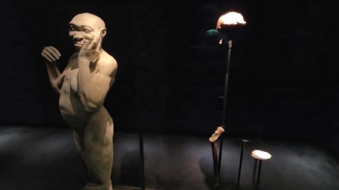 네덜란드가 약탈한 자와인 화석 130년만에 고향땅 자와로