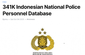 ‘가짜 비요르카’ 체포에 대한 보복성 해킹…경찰 34만 명 신상 유출