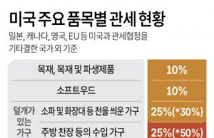 미국, 14일부터 수입 가공 목재·가구에 추가 관세 부과… 인도네시아산 가구 타격 불가피