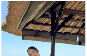 배우 전혜빈, 발리 가족여행 중 신용카드 도난 피해