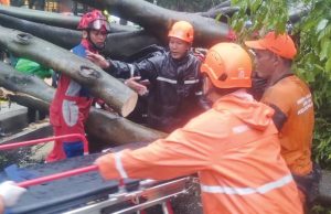 자카르타 폭우 속 쓰러진 나무에 차량 덮쳐… 50대 운전자 사망