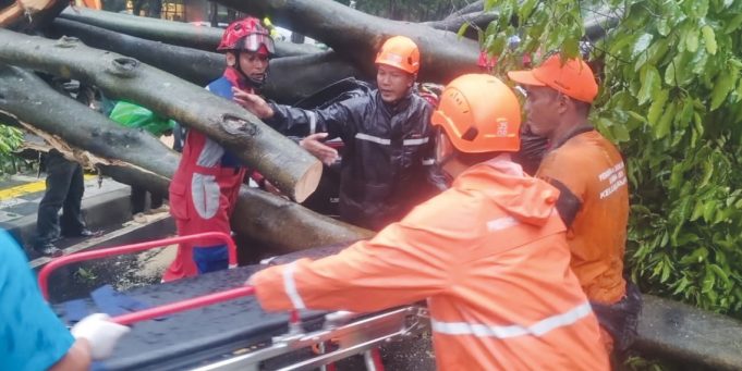 자카르타 폭우 속 쓰러진 나무에 차량 덮쳐… 50대 운전자 사망