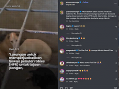 자카르타, 개·고양이 고기 거래·소비 전면 금지