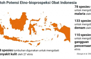 인도네시아, 세대 간 전승된 약용 식물 지식으로 의약품 자립화의 길 연다