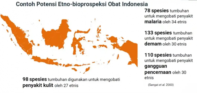 인도네시아, 세대 간 전승된 약용 식물 지식으로 의약품 자립화의 길 연다