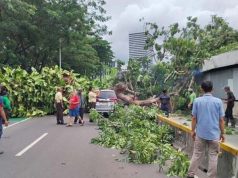 폭풍우에 인디홈 인터넷 전국 장애 발생