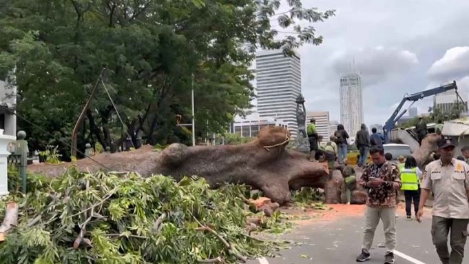 자카르타, 강풍 쓰러진 나무에 MRT 운행 중단 대혼란