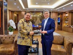 인도네시아, 30년 만의 국산차 생산의 꿈을 이룰 수 있을까