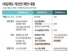 대입제도 개선안 제안 내용