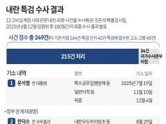 내란 특검 수사 결과