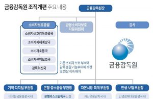 금융감독원 조직개편 주요 내용