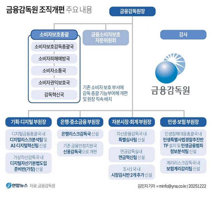 금융감독원 조직개편 주요 내용