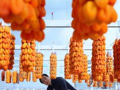 함양 곶감은 어떻게 생겼을까