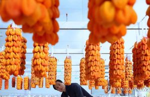 함양 곶감은 어떻게 생겼을까