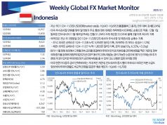 Weekly Global FX Market Monitor