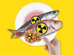 치칸데 방사능 사태, PT Peter Metal Technology 오염물질 1천 톤 압수