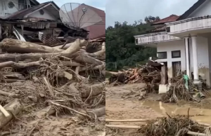 “숲 파괴의 끔찍한 대가”… 수마트라 대홍수에 1천295명 사망·실종