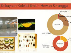 보고르 동물학 박물관, 동남아 최대 ‘생물다양성의 보고’로 자리매김