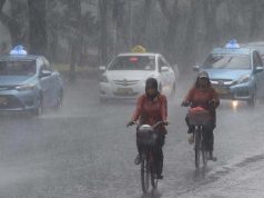 인도네시아 연이은 폭우·강풍… 일주일 새 5명 사망 “쓰러진 가로수가 또…”관리 부실 지적 잇따라