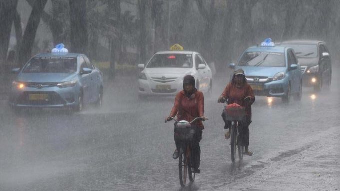 인도네시아 연이은 폭우·강풍… 일주일 새 5명 사망 “쓰러진 가로수가 또…”관리 부실 지적 잇따라