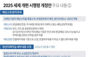 2025 세제 개편 시행령 개정안 주요 내용